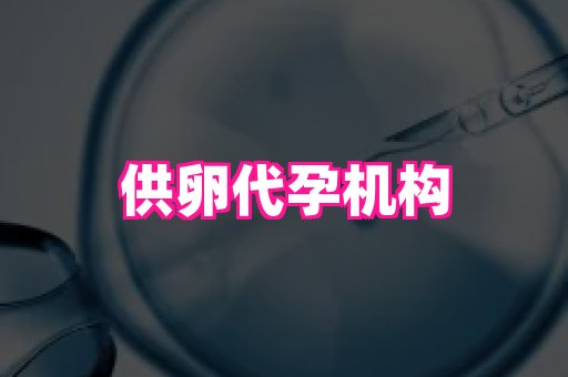 合肥助孕网站 3