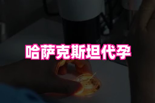 合肥助孕网站 4